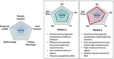 Precision Health for Chagas Disease: Integrating Parasite and Host Factors to Predict Outcome of Infection and Response to Therapy